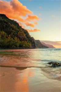 繁华未尽，此情无计免费阅读