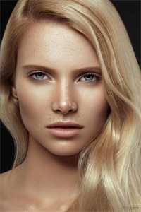 半盏花灯枕明月最新