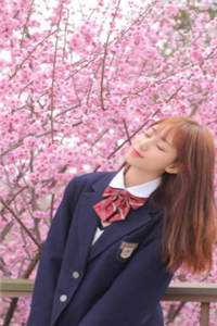 京港靡情热门小说