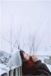 掉在地上的月亮爽文