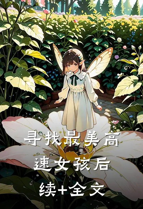 寻找最美高速女孩后续+全文