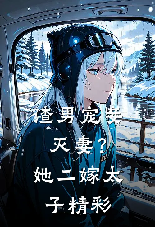 渣男宠妾灭妻？她二嫁太子精彩