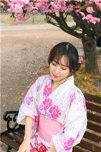 爱填山海，梦葬繁花小说畅读