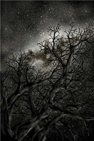 出狱后，诬陷我的妻子和小助理悔疯了良心推荐