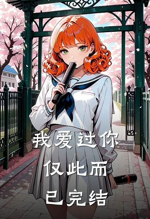 我爱过你，仅此而已完结