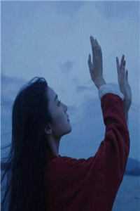 七夕当天，丈夫给所有员工都送了一束玫瑰顾时夜苏娇娇无删减+无广告