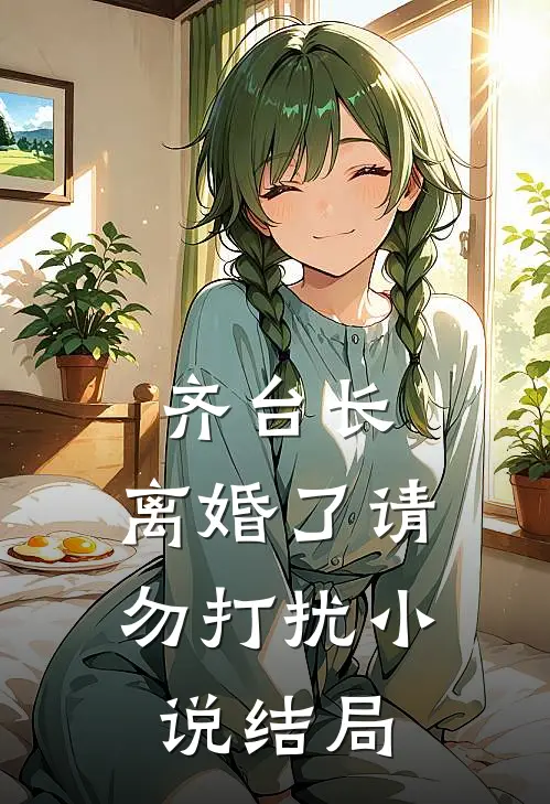 齐台长，离婚了请勿打扰小说结局