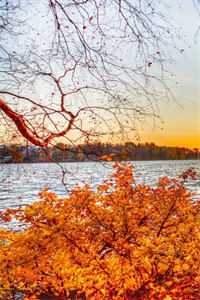 故山犹负平生约姜蔻徐毕归无删减+无广告