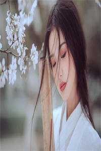 晚风不识旧情深小说全文免费