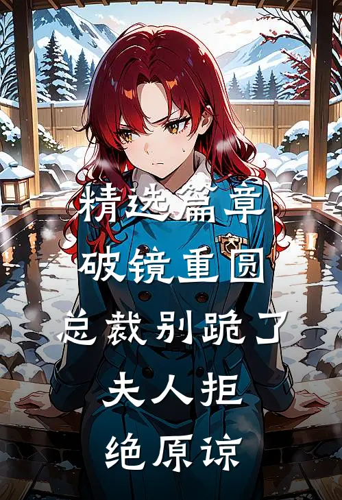 精选篇章破镜重圆：总裁别跪了，夫人拒绝原谅