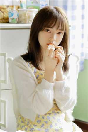 风月人间共白头完结