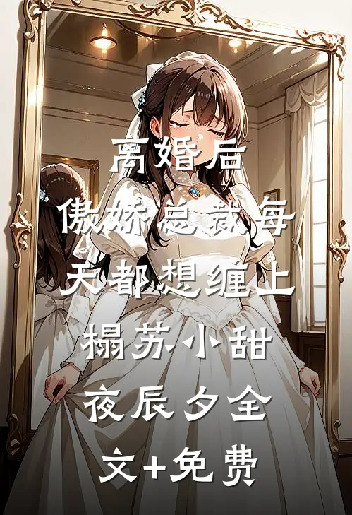 离婚后，傲娇总裁每天都想缠上榻苏小甜夜辰夕全文+免费