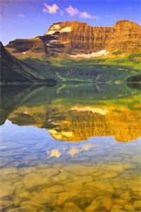 被假千金抢对象，另嫁首长被亲哭无删减+无广告