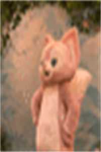 爱意坠星河后续+番外