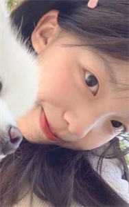 爱停在眼泪落下之前无错版