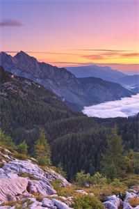 停靠在无人渡口最完整版