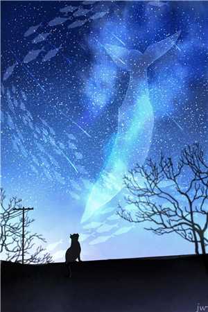 冬雪怜月明无错版