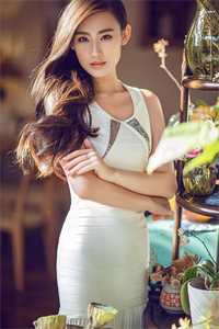 风欲静语难平连载