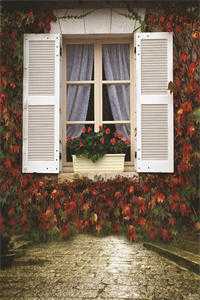 风起雾散见真心最新热门小说