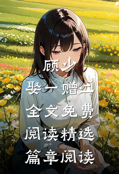 顾少,娶一赠二全文免费阅读精选篇章阅读