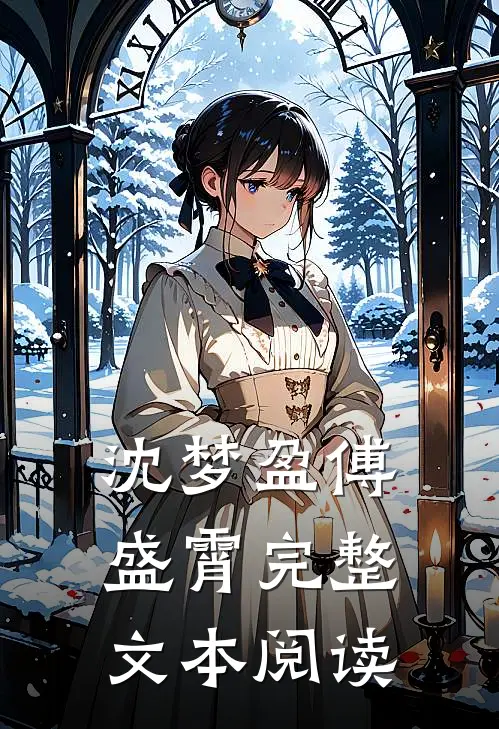 沈梦盈傅盛霄完整文本阅读