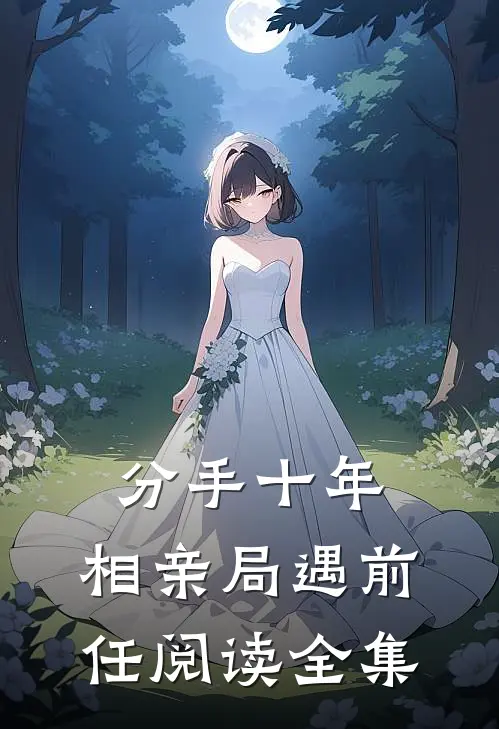 分手十年，相亲局遇前任阅读全集
