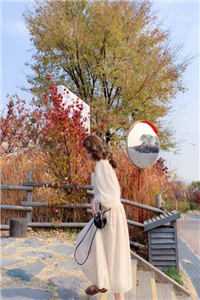 惹了同感双胞胎，清冷佛子逼我夜夜还债完整