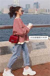 一夜雨飘零无广告