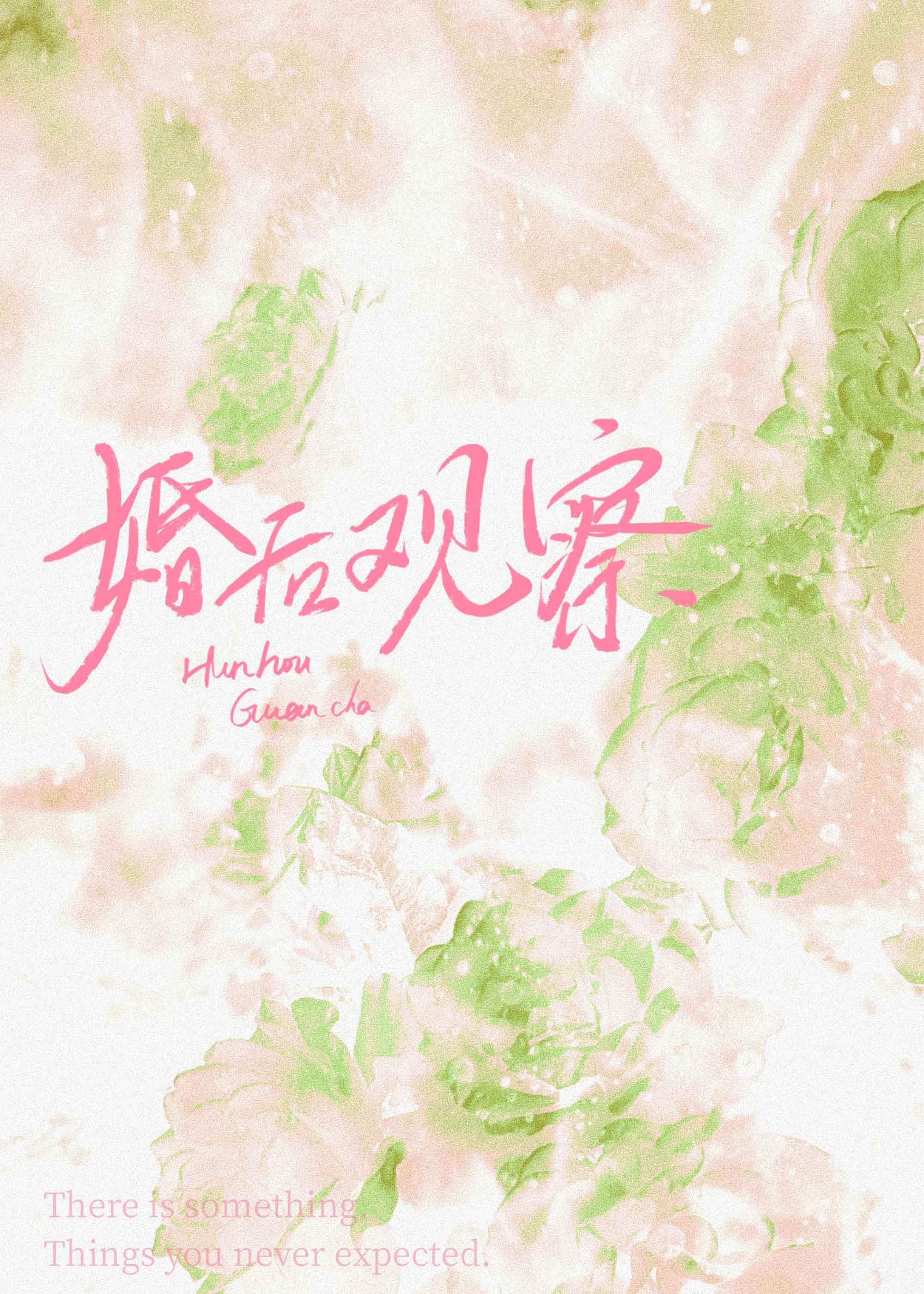 我摘星辰缀她衣完整版