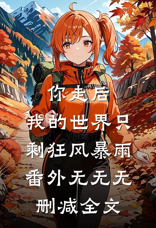你走后，我的世界只剩狂风暴雨： 番外无无无删减全文