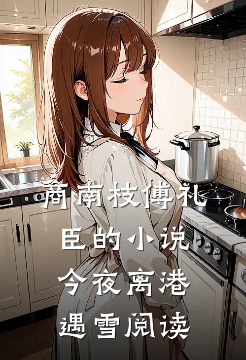 商南枝傅礼臣的小说今夜离港遇雪阅读