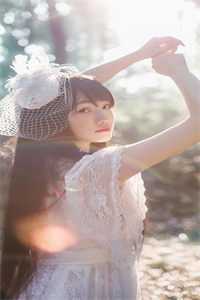 雁北回南爱未归质量好文