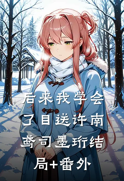 后来我学会了目送许南鸢司墨珩结局+番外