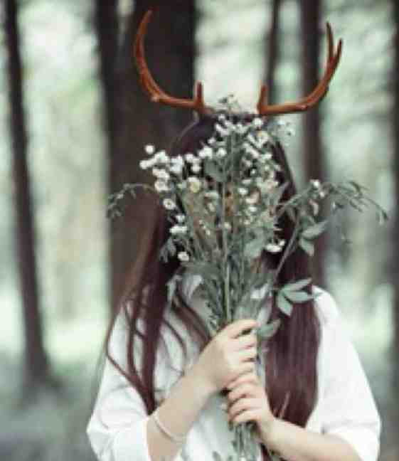 故山犹负平生约在线看