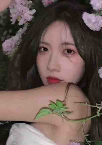 情深不寿终成影最完整版