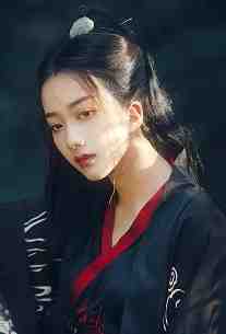 权力巅峰：靠把柄，拿捏官场在线阅读