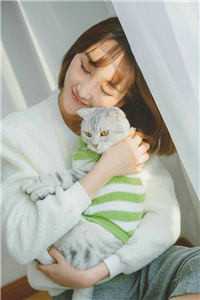 红尘浮动烬成霜小说