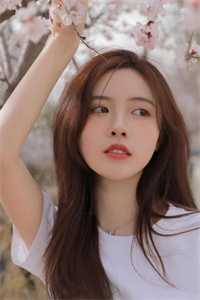 高门主母的驯夫手册推荐