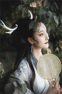 奈何偏爱做惊鸿无错版