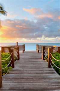 半生相逢皆过客后续+无弹窗