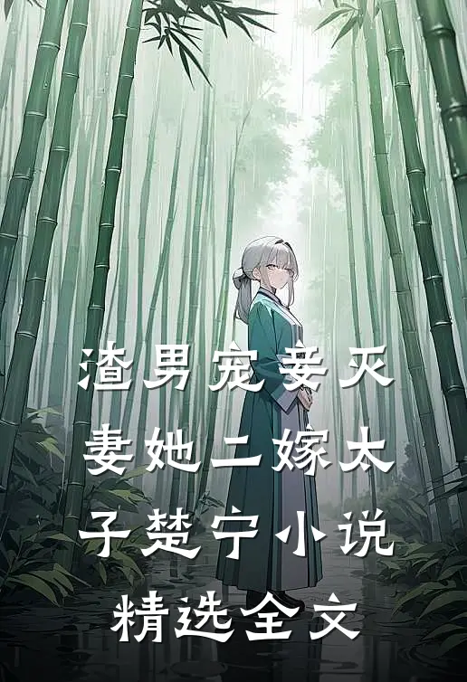 渣男宠妾灭妻她二嫁太子楚宁精选全文