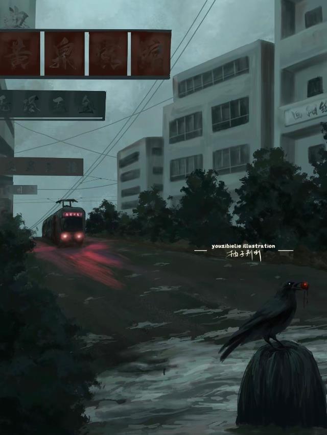 他是你老公，那我算什么精彩