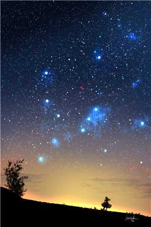 星垂平野独自明完整阅读