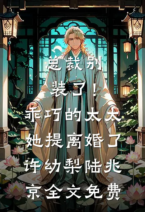 总裁别装了！乖巧的太太她提离婚了许幼梨陆兆京全文免费