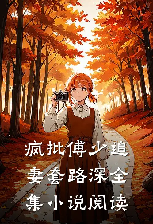 疯批傅少追妻套路深全集小说阅读