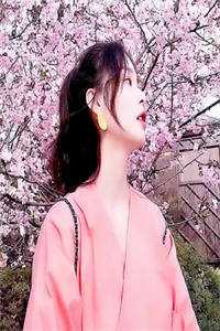 晚风不识旧情深小说畅读