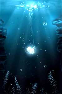 寂寂照思语畅销巨著