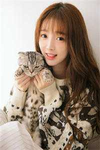 一别两宽，旧梦如欢楚子轩沈玉婉小说结局