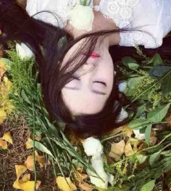 京港靡情姜好薄靳言完结文