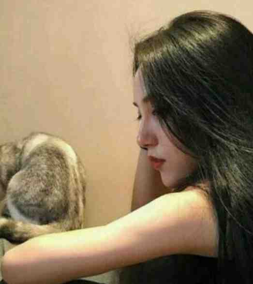 爱已随夕阳落幕全球完整文集